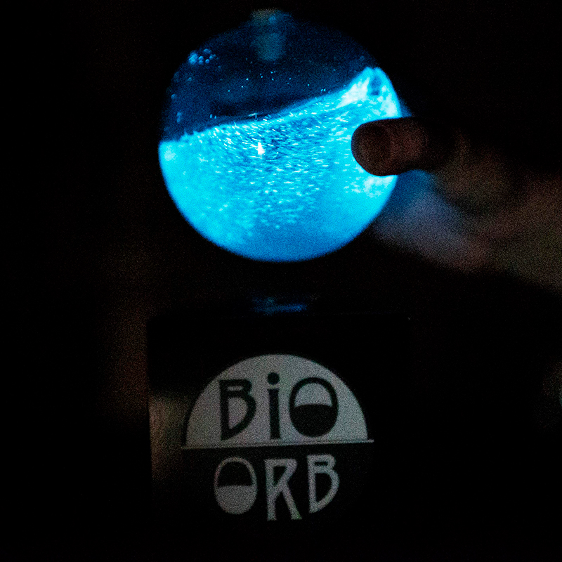 The-Bio-Orb---Bioluminescent-Ball---PyroFarms